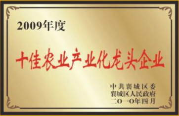 ʮ��ũҵ��ҵ����ͷ��ҵ